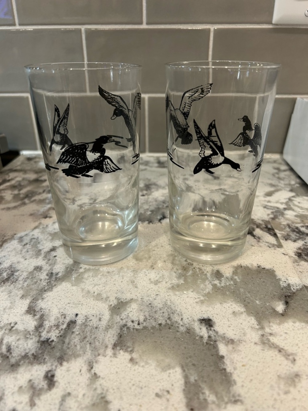 Glass Tumbler Set with Black Duck Flight Design